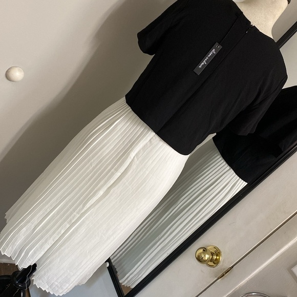 Alison Andrew’s for Anthro Dress drop waist accordion fold Pleated lined skirt - Picture 7 of 12